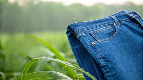 Dernières solutions de l'entreprise Solution enzymatique textile avancée pour la finition durable du denim