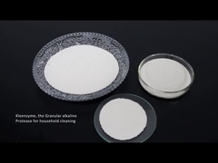 Amylase détersive de cellulase de protéase d'enzymes