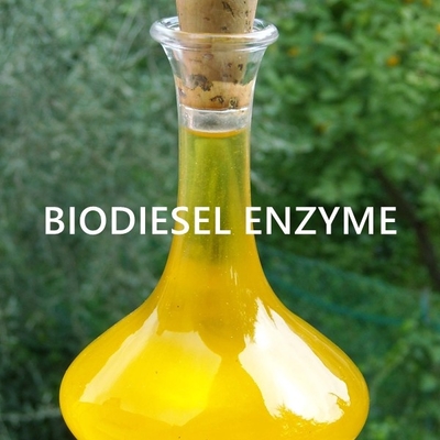 Un bon prix. Construction de l'enzyme de lipase pour des applications viables d'huile de bioénergie en ligne