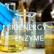 Un bon prix. Conversion catalysée par lipase d'OIN de l'huile de friture de rebut dans le biodiesel en ligne