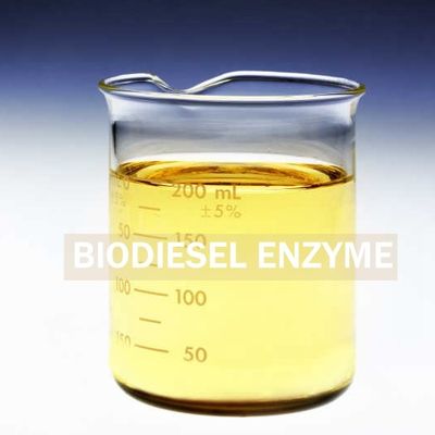 Un bon prix. Enzyme de lipase de biosurfactants produite pour la récupération améliorée de biodiesel en ligne
