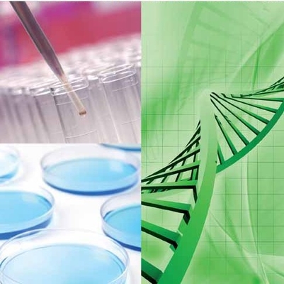 Un bon prix. Élevez vos opérations de Biorefinery avec la polyvalence de la technologie d'enzymes de CALB en ligne