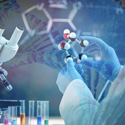 Un bon prix. Obtenez en avant de la concurrence : Exploitation de la pleine capacité de Candida Antarctica Lipase B en ligne
