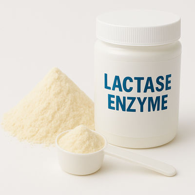 Un bon prix. Enzyme bêta-galactosidase Substituant lactase pour les produits laitiers sans lactose Enzymes alimentaires en ligne