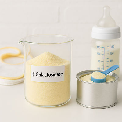 Un bon prix. Yogourt laitier jaune clair en poudre sans lactose, facile à manipuler et pratique en ligne