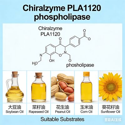 Un bon prix. La chiralzyme PLA1120 -- Phospholipase A1 à haut rendement pour le dégraissage des huiles -- KDN en ligne