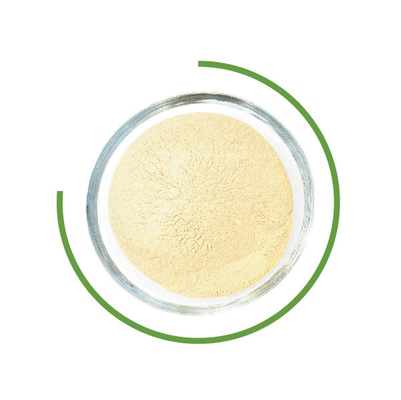 Un bon prix. Cellulase de Trichoderma Reesei poudre à laver les enzymes microbiennes dans l'industrie textile en ligne