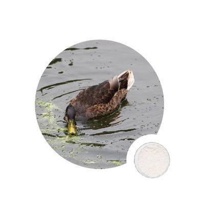 Un bon prix. 9025-57-4 Xylanase dans l'industrie du papier en ligne