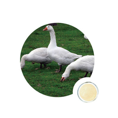 Un bon prix. enzymes de NSP de 50000U g dans la volaille en ligne