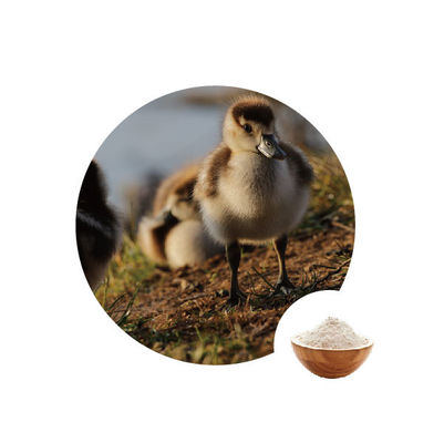 Un bon prix. oxydases de glucose de 10000u G en enzymes de volaille de 1.1.3.4 de nombre de l'EC de l'industrie alimentaire en ligne