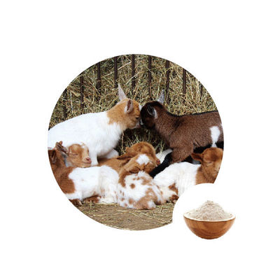 Un bon prix. L'EC numéro 1.1.3.4 d'oxydase de glucose d'additif en ligne