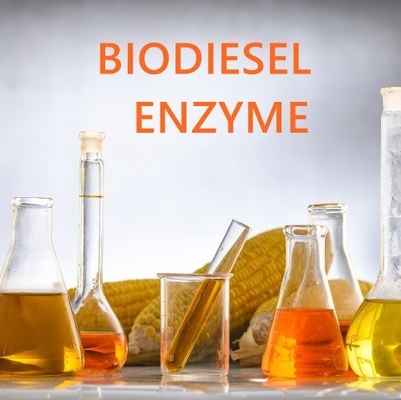 Un bon prix. Enzyme estérase des acides gras à haute solubilité pour les applications pharmaceutiques en ligne