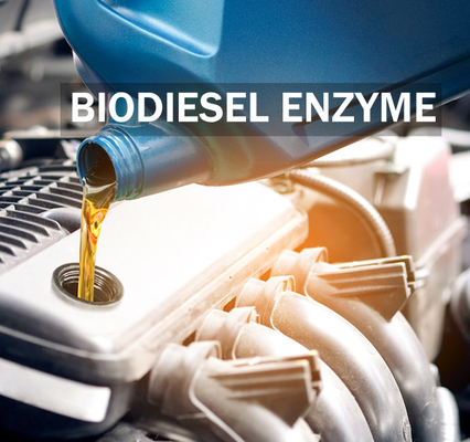 Un bon prix. Amélioration de l'enzyme de lipase de stabilité pour le rendement et la qualité améliorés de biodiesel en ligne