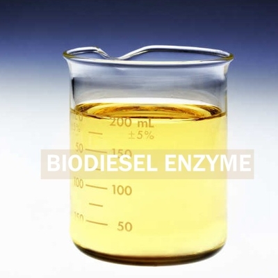 Un bon prix. PH 7-9 Enzyme du biodiesel pour optimiser la production de biodiesel avec la prochaine génération en ligne