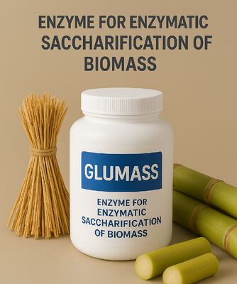 Un bon prix. Enzyme à haut rendement pour la saccharisation complète de la biomasse en ligne