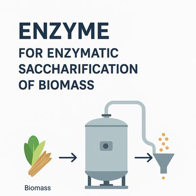 Un bon prix. Enzyme alcoolique optimisée pour une décomposition efficace de l'alcool et une fermentation accélérée en biotechnologie industrielle en ligne