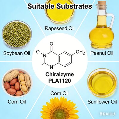 Un bon prix. KDN Chiralzyme PLA1120 : Enzyme supérieure de dégommage d'huile pour le raffinage du pétrole brut en ligne