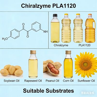 Un bon prix. Chiralzyme PLA1120 | Enzyme de qualité alimentaire pour un raffinage d'huile économique en ligne