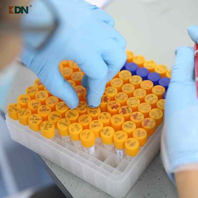 Un bon prix. Enzyme utilisant des peptides et des acides aminés optimisés pour les applications de nettoyage lourd en ligne