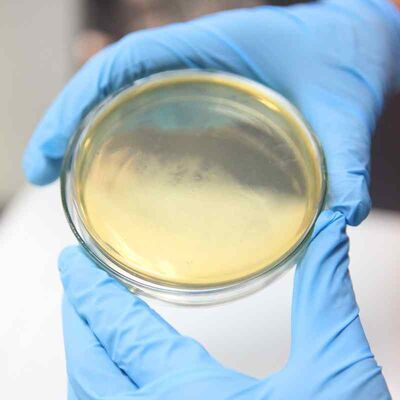 Un bon prix. Enzyme de dimensionnement de la surface de poudre conçue pour optimiser les propriétés de la surface du papier et augmenter la durabilité des lignes de production de papier en ligne
