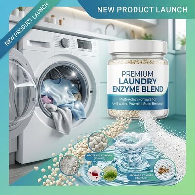 Un bon prix. Mélange enzymatique de protéase alcaline amylase pour lavage à basse température online