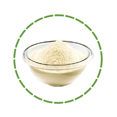 Un bon prix. L'usine Probiotics de Bacillus subtilis dans l'agriculture évitent les maladies de nématode en ligne